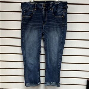 American Eagle Outfitters Dark Wash Cropped Jeans